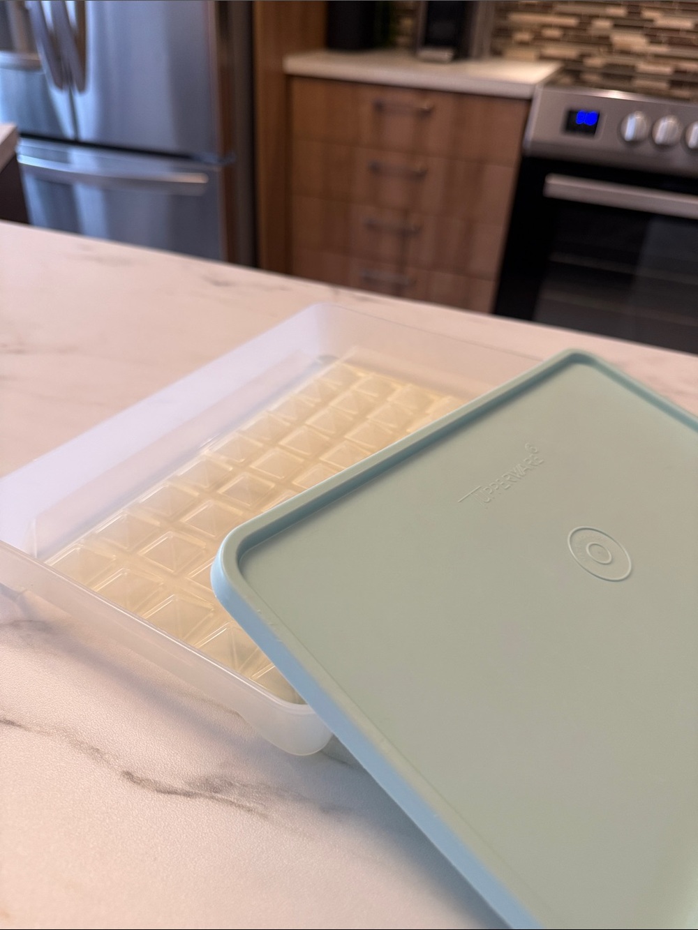 Tupperware Hot Dog/Bacon/Deli Meat/Marinade Keeper